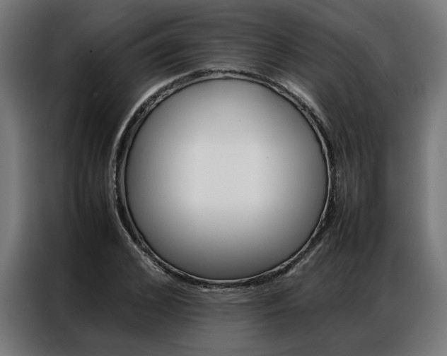 X0000086970976200704161142