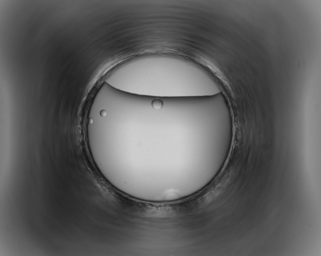 X0000086970978200704161142