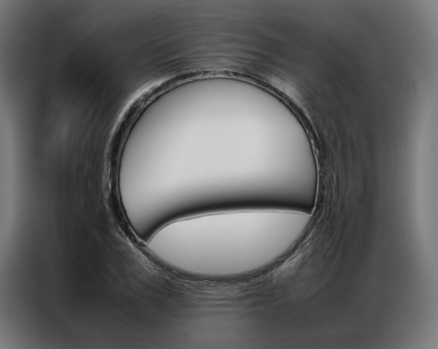 X0000086970979200704161142