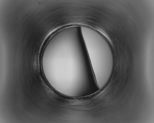 X0000086970980200704161142
