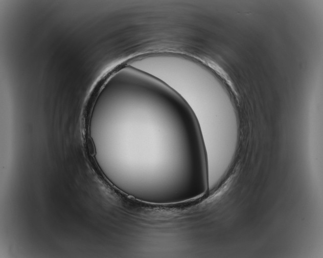X0000086970981200704161142
