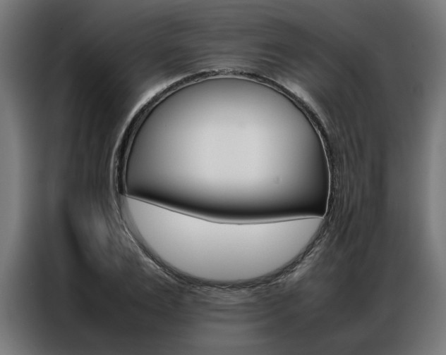 X0000086970983200704161142