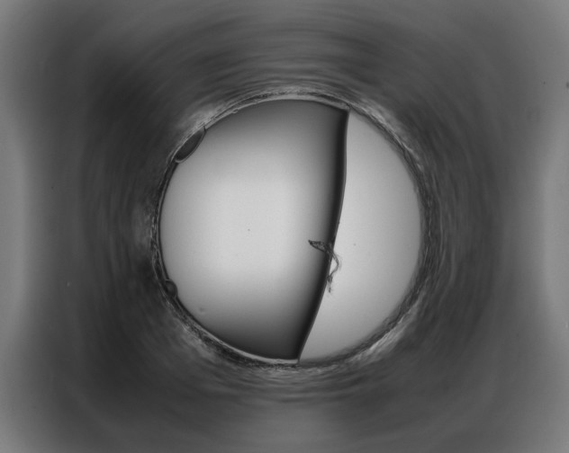 X0000086970985200704161142