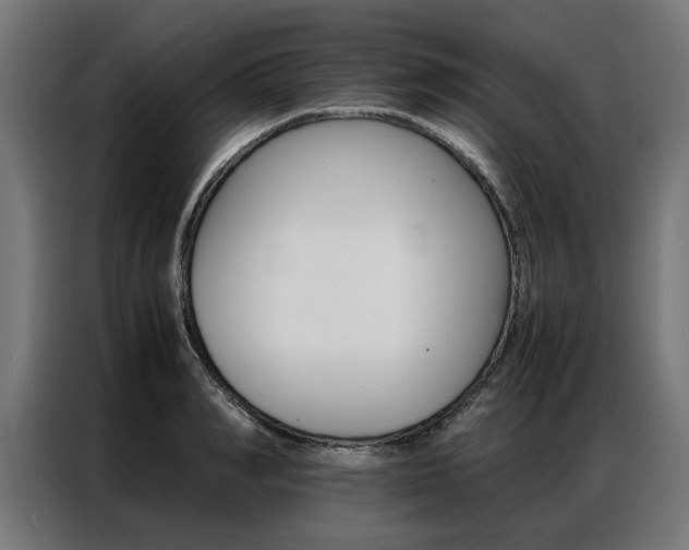X0000086970990200704161142