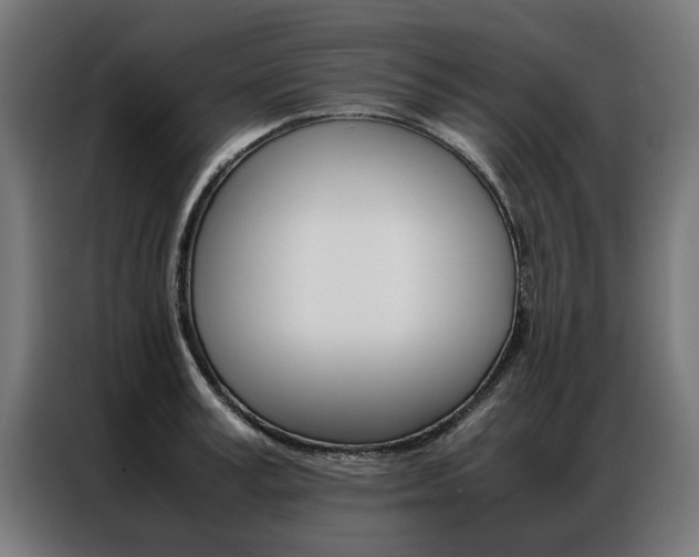 X0000086970995200704161142