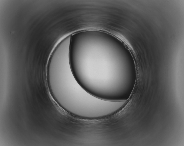 X0000086970996200704161142