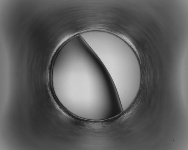 X0000086970999200704161142