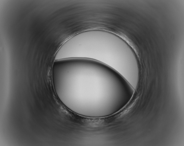 X0000086971001200704161142