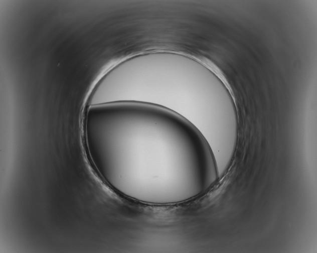 X0000086971005200704161142