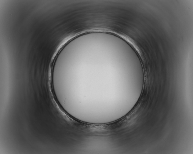 X0000086971006200704161142