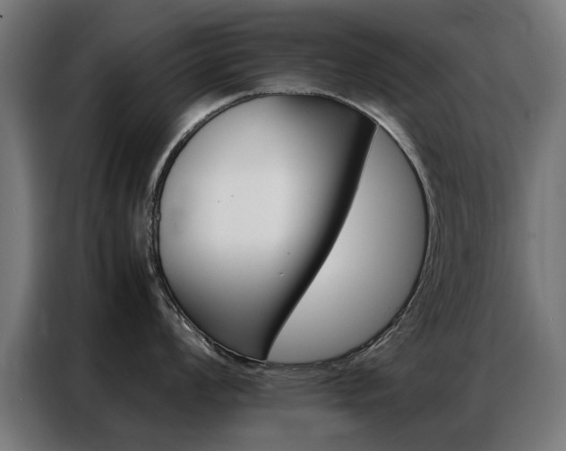 X0000086971008200704161142