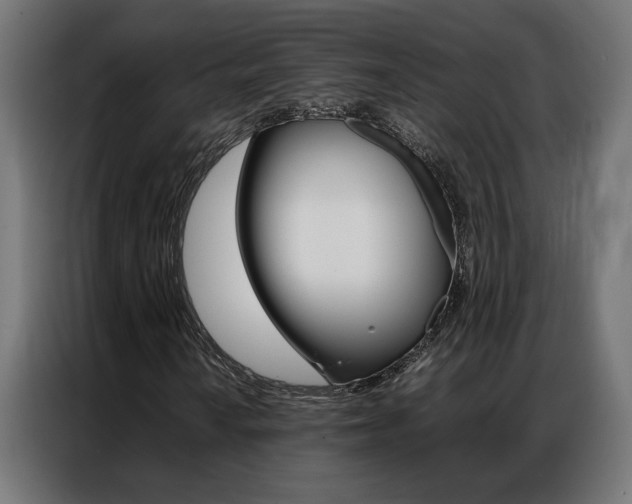 X0000086971010200704161141