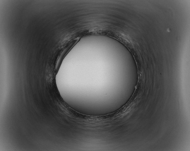X0000086971012200704161141