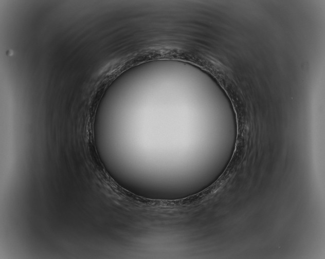 X0000086971014200704161141