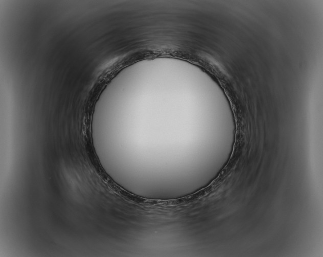 X0000086971016200704161141