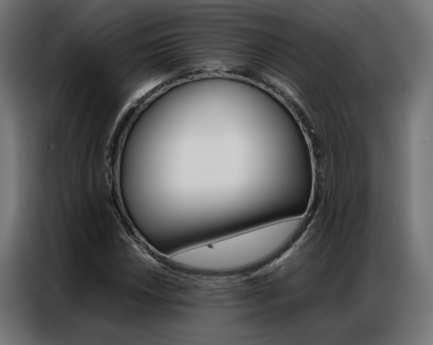 X0000086971018200704161141