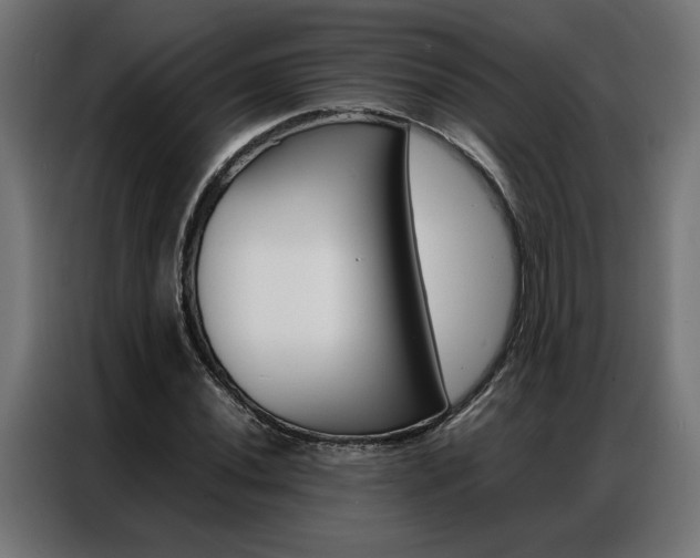 X0000086971020200704161141