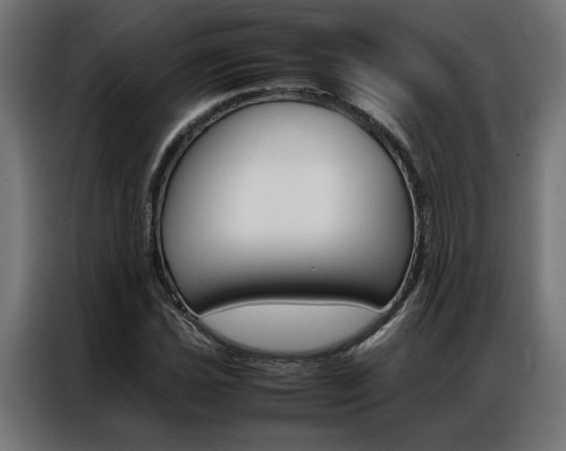 X0000086971021200704161141