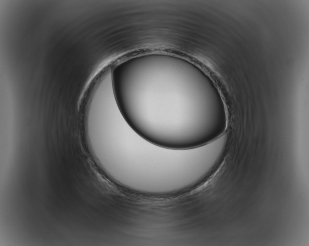 X0000086971022200704161141