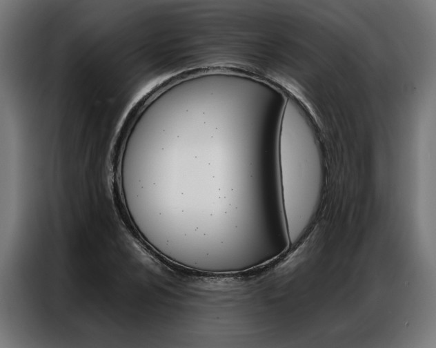 X0000086971024200704161141