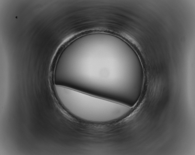 X0000086971029200704161141