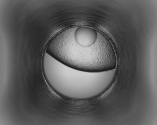 X0000086971033200704161141