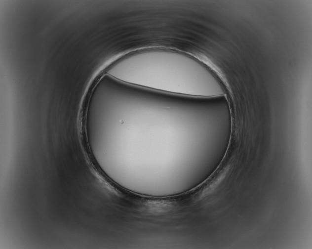 X0000086971037200704161141