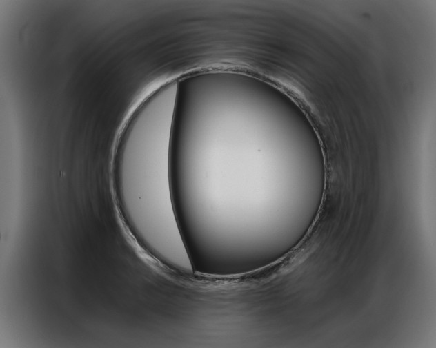 X0000086971038200704161141