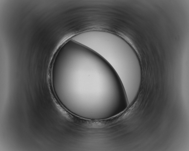 X0000086971042200704161142