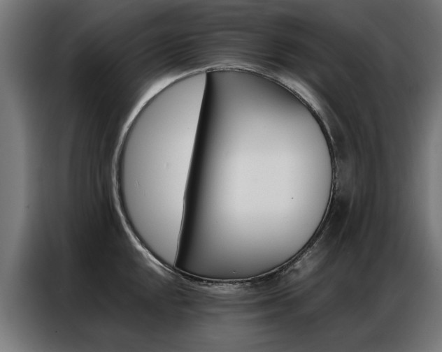X0000086971048200704161142
