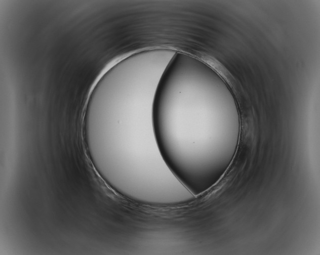 X0000086971052200704161142