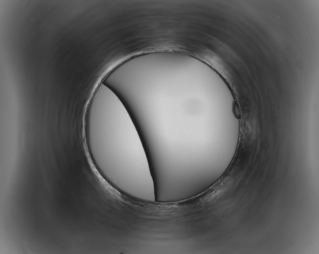 X0000086971055200704161142