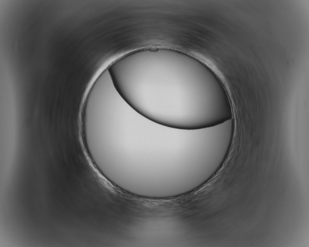 X0000086971056200704161142
