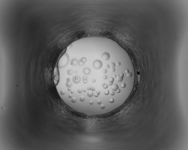X0000086971059200704161141