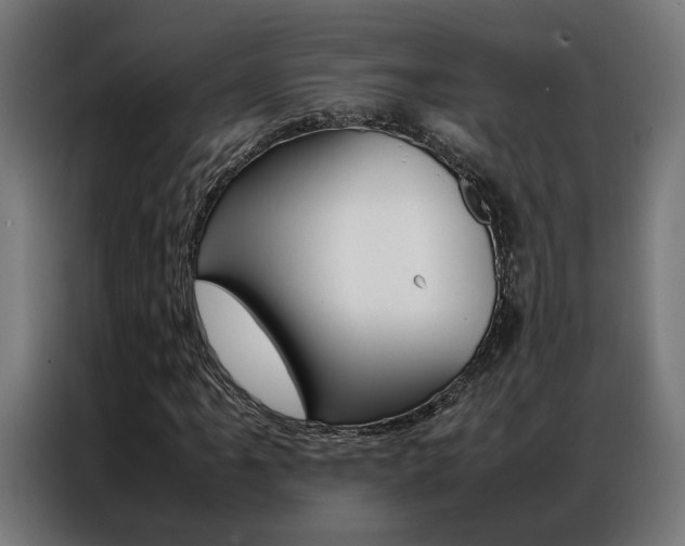 X0000086971061200704161141