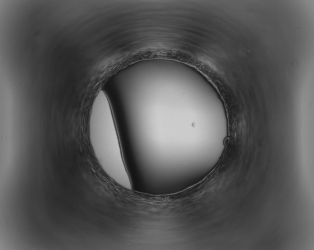 X0000086971062200704161141