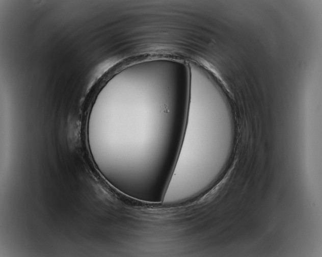 X0000086971066200704161141