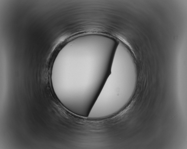 X0000086971067200704161141