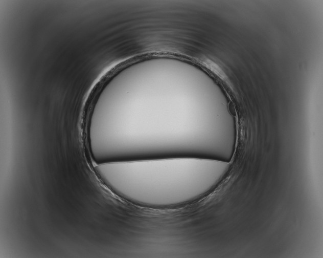 X0000086971068200704161141