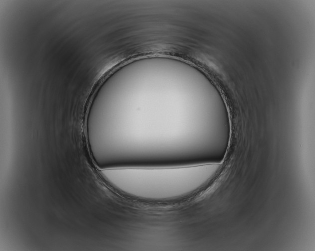 X0000086971073200704161141