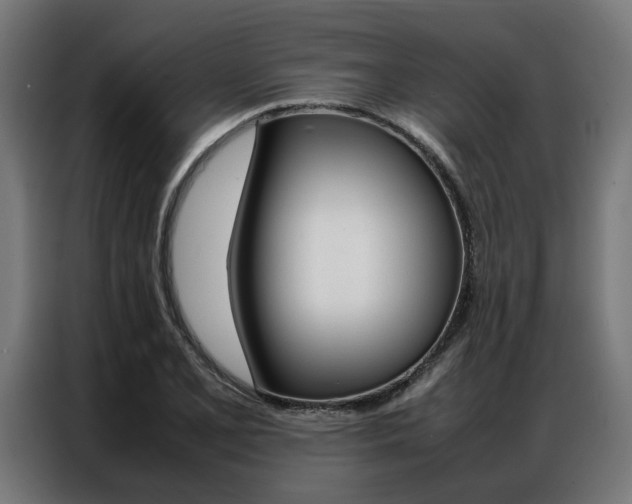 X0000086971077200704161141