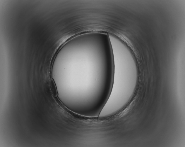 X0000086971081200704161141