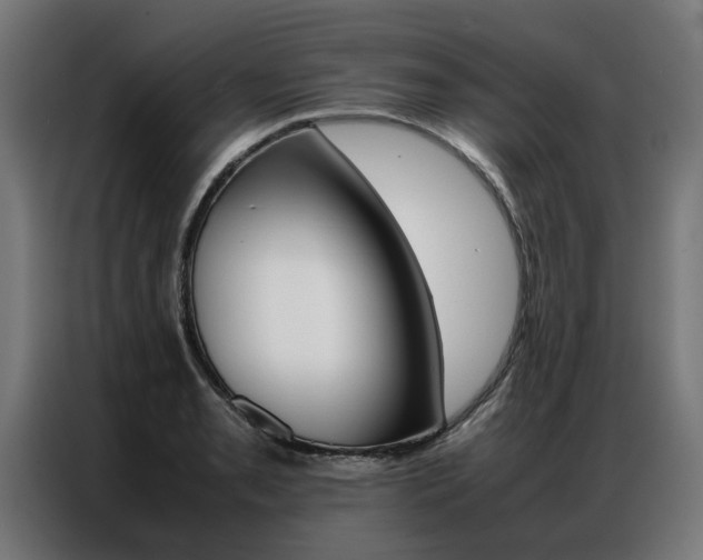 X0000086971085200704161141