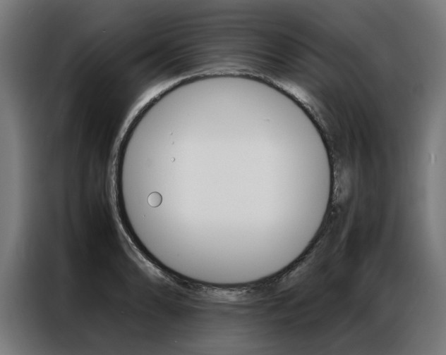 X0000086971086200704161141