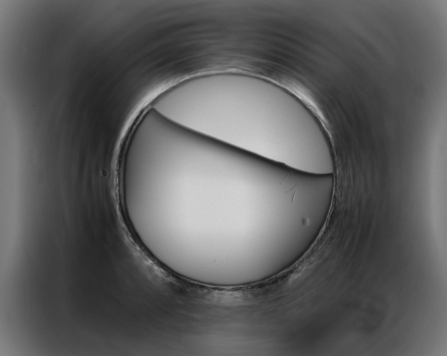 X0000086971088200704161141