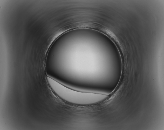 X0000086971089200704161141