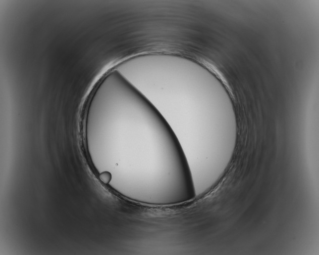 X0000086971091200704161141