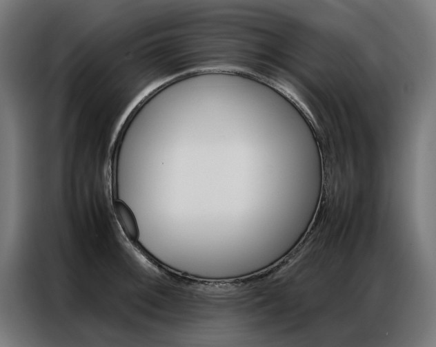 X0000086971092200704161141
