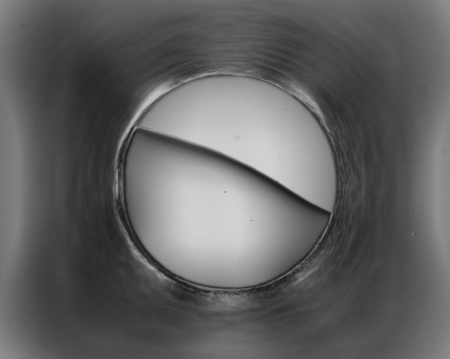 X0000086971095200704161140