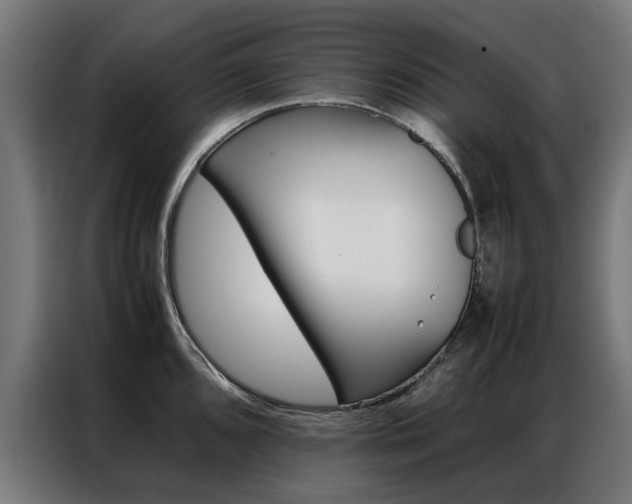 X0000086971096200704161140
